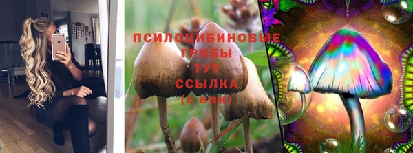 герыч Белокуриха