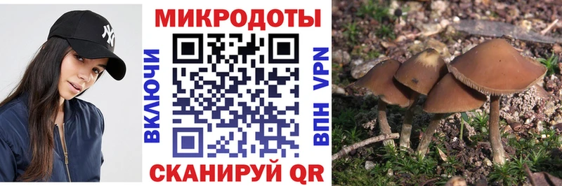 Псилоцибиновые грибы GOLDEN TEACHER  KRAKEN ссылка  Харовск 